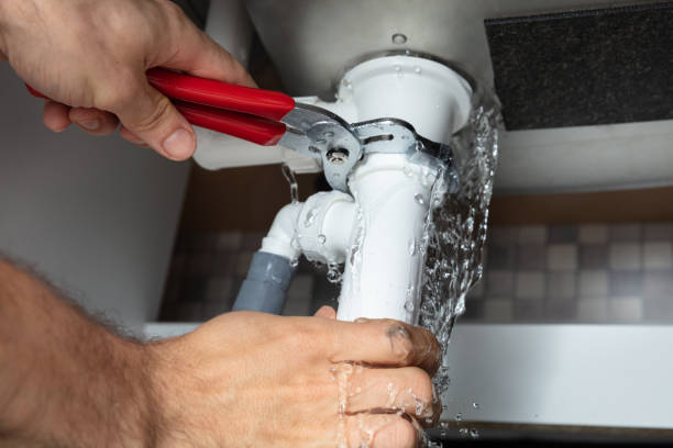Best Local water damage restoration  in Shelbina, MO