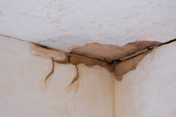 Best Sewage cleanup and water damage restoration  in Shelbina, MO