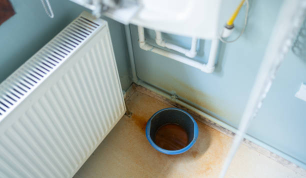 Best Carpet water damage restoration  in Shelbina, MO