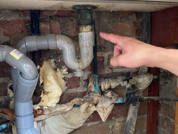 Best Basement water damage restoration  in Shelbina, MO